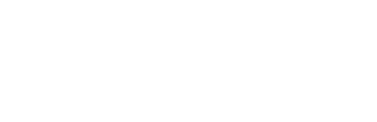 Tal Brog 